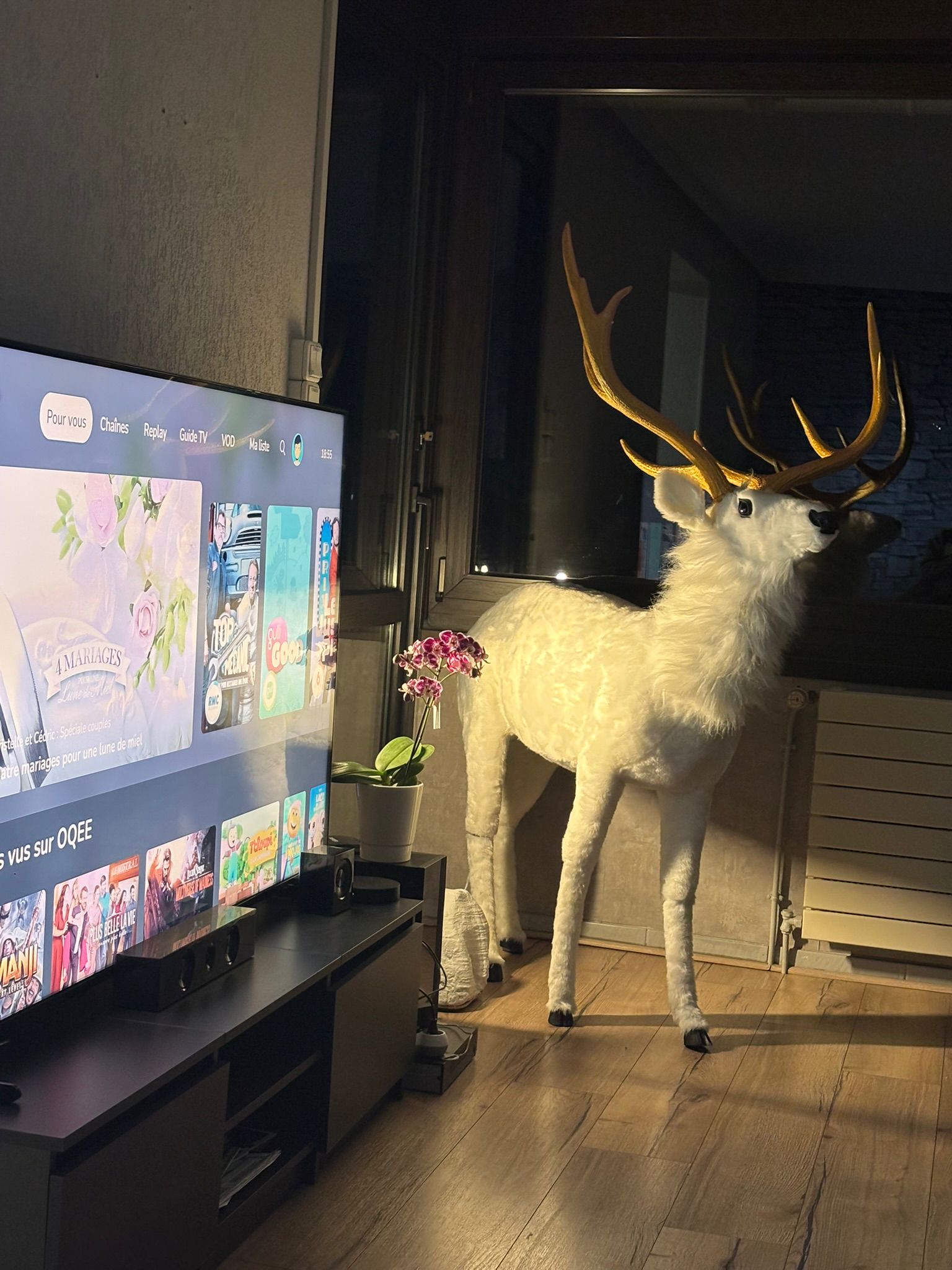Espace détente du gîte