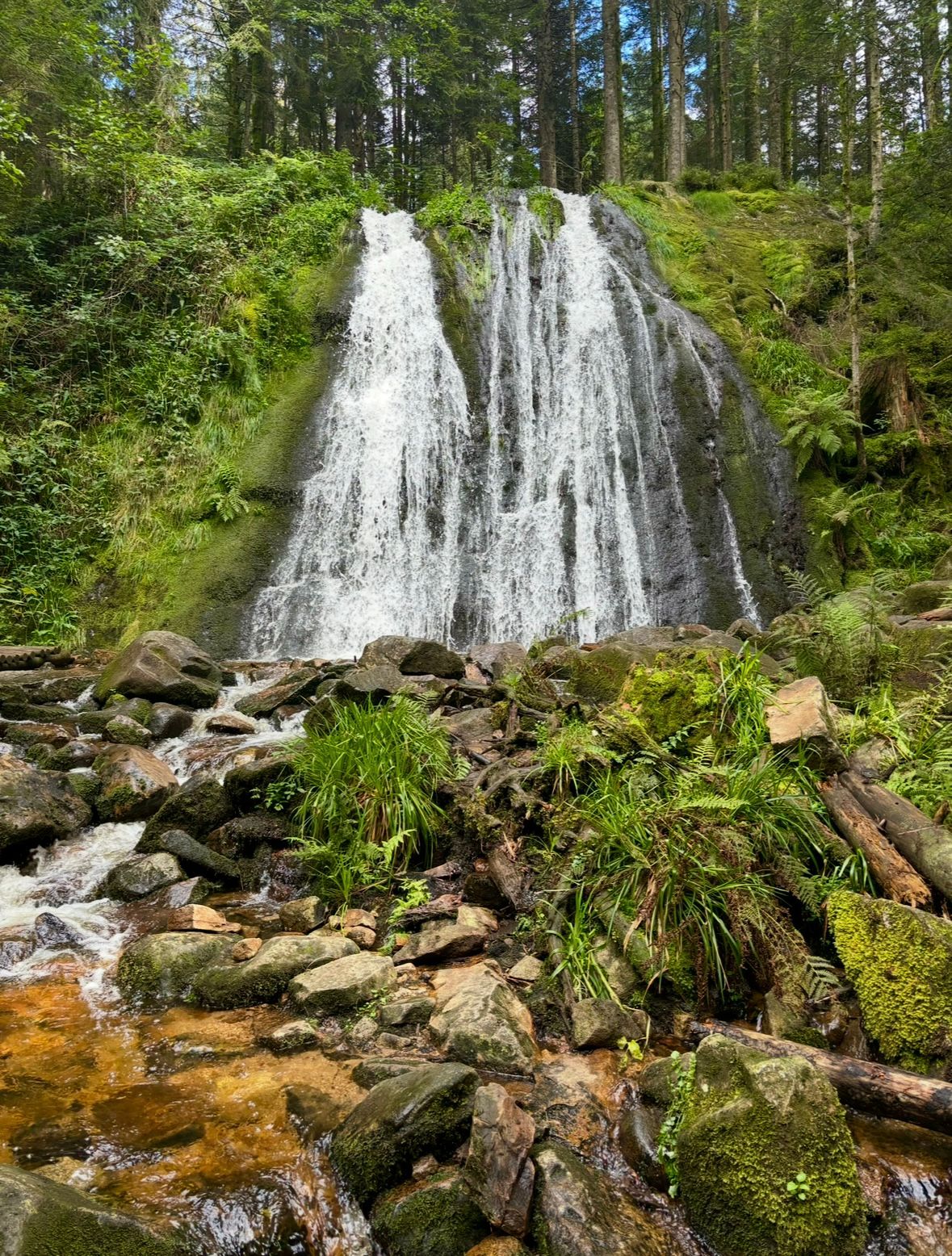 Cascade spectaculaire dans la forêt vosgienne